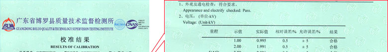 無線電儀器計量證書報告結果頁